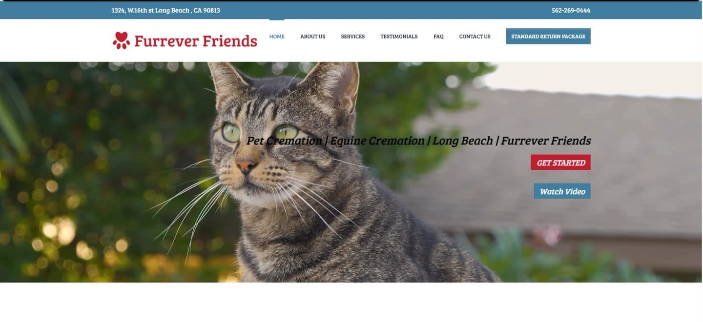 The Furrever Friends homepage after the redesign, showing the logo, main navigation, contact details in the header bar and the hero image